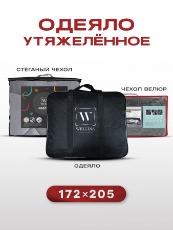 Купить Утяжеленное сенсорное одеяло WELLINAGRAVITY 172х205 темно-серый 8кг WGS-18 по цене  руб.