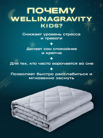 Купить Утяжеленное сенсорное одеяло WELLINAGRAVITY 110х140 серое 4кг WGS-11 по цене  руб.
