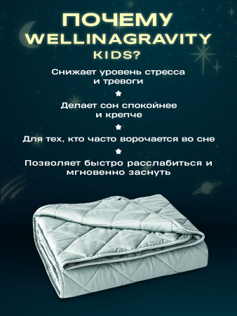 Купить Утяжеленное сенсорное одеяло WELLINAGRAVITY 110х140 мятное 4кг WGS-11 по цене  руб.