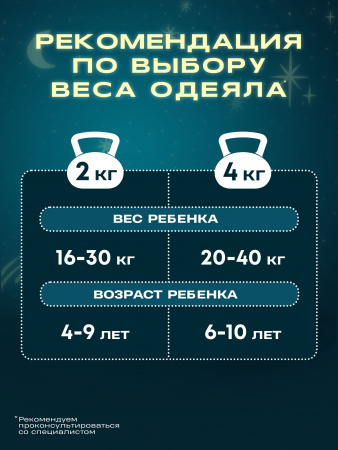 Купить Утяжеленное сенсорное одеяло WELLINAGRAVITY 110х140 серое 4кг WGS-11 по цене  руб.